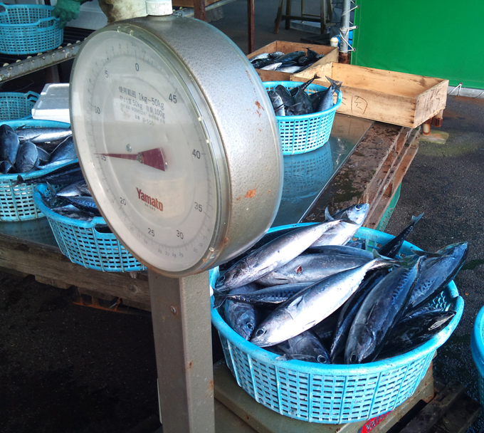2010-12-15 鮮魚１.jpg