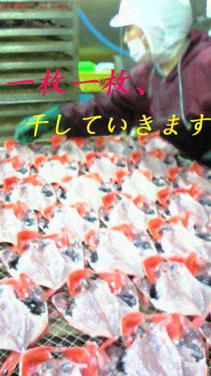 091006_金目加工４.gif