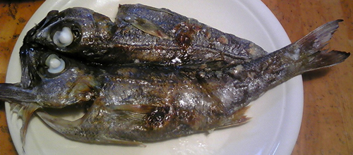 091030_ムツ干物２.jpg