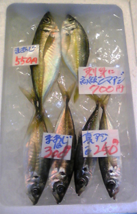 1,2　鮮魚３.jpg