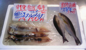 1,29 鮮魚１.jpg