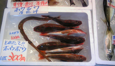 1,29 鮮魚２.jpg