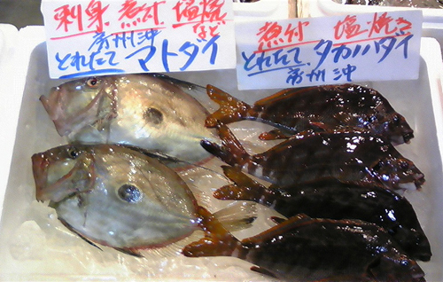 100125_鮮魚１.jpg