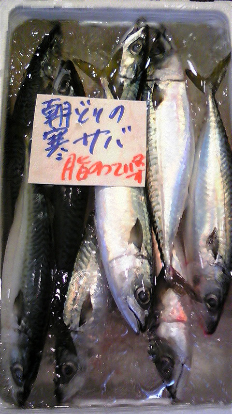 100125_鮮魚２.jpg
