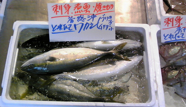 100125_鮮魚３.jpg