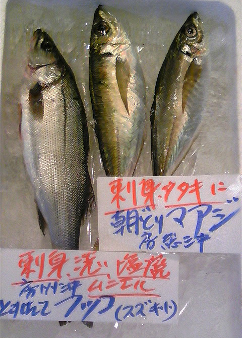 100125_鮮魚５.jpg