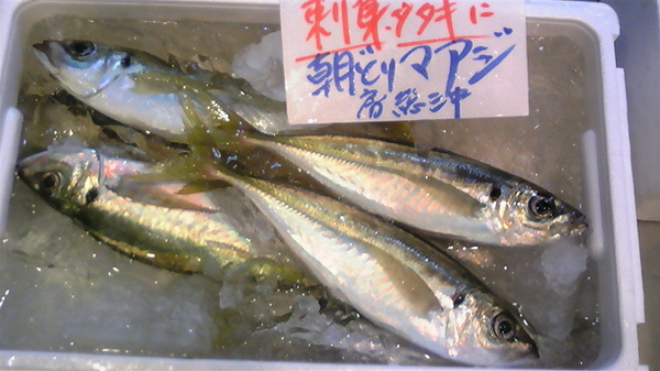 100205_鮮魚２.jpg