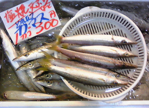 2,5 カマス鮮魚.jpg