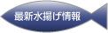 最新水揚げ情報