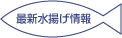 最新水揚げ情報
