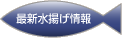 最新水揚げ情報