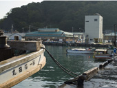 保田漁港写真